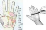 Dùng lược chải 5 vị trí này trên Sh88bet đăng ký miễn phí: Giúp xua tan bệnh tật, mang lại nhiều lợi ích sức khỏe, sống thọ