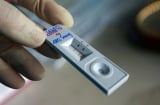 Vì sao nhiều F0 tái nhiễm khi vừa khỏi, thậm chí 3 lần trong nửa năm: Chuyên gia chỉ ra 2 khả năng