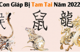 Từ 2022, 3 Shbet888.com nhà cái uy tín chịu hạn Tam Tai 3 năm liên tiếp, tiền của đội nón ra đi
