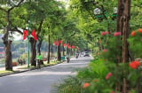 Thời tiết ngày 15/3 tất cả các vùng trên cả nước