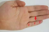 Vận mệnh hôn nhân sung sướng hay bất hạnh đều nằm ở ngón út, nhìn bàn tay là thấy ngay