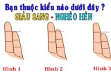 Giơ bàn tay 5 giây nhìn độ dài các ngón: Biết ngay tính cách và tương lai của bạn