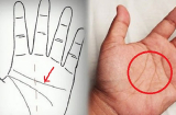 5 đường chỉ tay báo hiệu chủ nhân có số mệnh vất vả: Có 1/5 điểm cũng đủ cực khổ, cuộc đời trắc trở