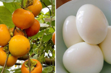 5 thực phẩm 'không đội trời chung' với trứng, thà nhịn đói chứ đừng dại mà ăn kẻo sinh bệnh