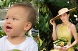 Hà Hồ đáp trả khi bị nói 'làm màu' vì đưa nhóc tỳ song sinh đi làm