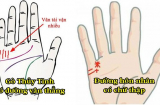 Đây là 4 kiểu tay phú quý vận đỏ như son, có 1/4 cũng thành công cả đường tình duyên lẫn công danh