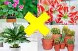 Người xưa nhắc nhở: 6 loại đặt trong nhà Thần Tài chạy xa tít tắp, gia chủ suốt đời nghèo khó