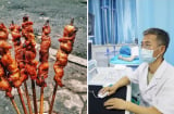 7 thực phẩm càng ăn càng nuôi lớn khối u ác tính, tiếc là lại đúng món khoái khẩu của nhiều người