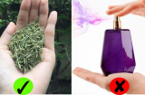 4 loại lá càng dùng Sh88bet đăng ký miễn phí càng thơm ngát: Chị em không cần nước hoa vẫn diệt mùi hiệu quả