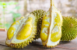 Người bán sầu riêng lâu năm bật mí: Muốn ăn quả múi to hạt lép, ngon ngọt, không tẩm thuốc cứ nhìn điểm này