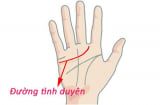 20 hay 30 tuổi mới lấy chồng? Lấy chồng sướng hay khổ? xem đường chỉ tay này sẽ biết ngay