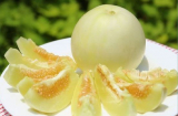 Cách chọn dưa lê ngọt, ngon, không bị đắng, không sợ thuốc, ăn 'đáng đồng tiền'