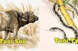 Song hỷ lâm môn: 3 cặp đôi thoát nạn Tam Tai đỏ cả tình lẫn tiền ngồi rung đùi hưởng 3 năm tới
