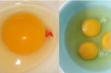 Trứng đập ra có vệt đỏ như máu, nên ăn hay bỏ đi? Nhiều người thắc mắc nhưng giờ mới biết câu trả lời