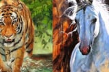 Thời tới không cản nổi: 4 tuổi giàu có vô biên, không mua nhà lầu cũng tậu xe hơi năm 2023
