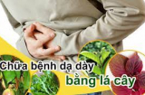 Đau Shbet123 Link Vào ShBet Mới Nhất, viêm loét cứ lấy lá này đun lên mà uống, vài ngày sau bạn sẽ thấy 'điều kì diệu'