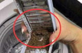 Thợ lâu năm tiết lộ: Có 1 công tắc ẩn trong máy giặt, nước bẩn sẽ chảy ra ngay khi nó được bật lên