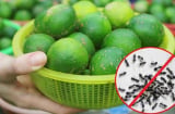 Vắt chanh đừng vội bỏ vỏ, đem dùng vào 8 việc này tiết kiệm cả đống tiền