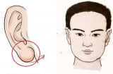 Đàn ông sở hữu 1 trong 3 kiểu tai này, phúc lộc sâu dày, có tướng làm quan