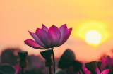 3 loại 'của cải' quý giá nhất của người tới tuổi trung niên: Ai sở hữu đủ là người hạnh phúc nhất