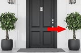 Thầy phong thủy cảnh báo: 2 vị trí đặt cây cảnh tưởng đẹp nhưng rất hại cho Shbet111 slot, casino, thể thao, xổ số, hao tài tán lộc