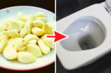 Bỏ 1 tép tỏi vào bồn cầu trước khi đi ngủ, sáng dậy thấy ngay lợi ích tuyệt vời