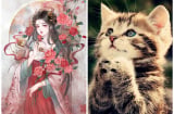Tháng 9: Tinh Tú chiếu mạng, tài lộc bủa vây 3 tuổi này đỏ cả tình lẫn tiền, cuối năm đón tết linh đình