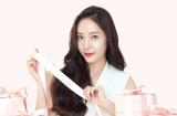 6 nguyên tắc vàng để có được Mừng SHBET phiên bản mới 2025 đẹp mà chẳng cần kỳ công chăm sóc