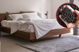 Đặt nắm hạt tiêu dưới gầm giường: Nhận lợi ích bất ngờ, tiết kiệm cả đống tiền mỗi năm