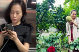 Phản ứng của mỹ nhân Việt khi bị nghi mang bầu: Phương Oanh giữ im lặng, Mỹ Tâm lên tiếng đính chính