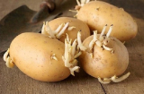 Điểm mặt những thực phẩm được coi là 'sát thủ thầm lặng' trong nhà bếp mà ít ai để ý đến