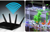4 đồ vật rất kỵ với cục phát wifi: Nhiều nhà không biết cứ đặt cạnh nhau, bảo sao mạng suốt ngày chập chờn