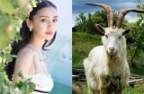 3 Shbet888.com nhà cái uy tín số đỏ hơn người: Tháng 10 đổi vận, tháng 11 đại cát, tháng 12 đón tiền về như nước