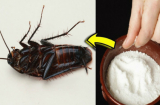 Trộn chút gạo với bột giặt: Mang lại lợi ích không ngờ, tiết kiệm tiền triệu mỗi năm