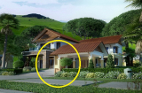 Trong nhà đột nhiên xuất hiện 4 thứ này: Tiền bạc ào ào chạy tới, hỷ tín ghé thăm may mắn liên tiếp