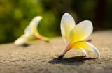 Nhìn thấu 3 điểm này của đàn ông mới là người phụ nữ khôn ngoan