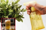Dùng bia hơi tưới hoa tưởng lãng phí, nào ngờ sâu bọ 'say mèm' không bén mảng