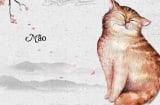 3 tuổi số đỏ hơn người: Tháng 10 đổi vận, tháng 11 đại cát, tháng 12 tiền về như nước