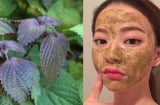 3 cách 'đánh bay' nám tàn nhang từ loại cây 'lạ mà quen'
