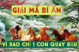 Bức tranh phong thủy “Mã đáo thành công” luôn có một con ngựa quay đầu: Tại sao lại vậy?
