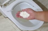 Rắc thứ bột này vào bồn cầu và để qua đêm: Cặn bẩn bong sạch, không tốn công cọ rửa