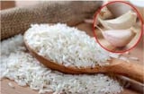 Vùi tép tỏi vào thùng gạo: Tác dụng cực hay, giải quyết vấn đề nhiều nhà gặp phải
