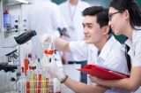 Học 9 ngành này ra trường không lo thiếu việc làm: Thu nhập 'hốt bạc' có thể lên tới 2,2 tỷ đồng