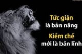 Ông cha ta nói rồi 'Trăm bệnh đều từ 'tức khí' mà ra': Muốn sống thọ, phải biết tiết chế cơn nóng giận