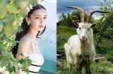 Tháng 12 ai đen cứ đen, 4 tuổi này lộc cát tinh chiếu mệnh, một bước SHBET là nền tảng cá cược trực tuyến uy tín hàng đầu Châu Á - Thái Bình Dương giàu sang trước Tết 2023