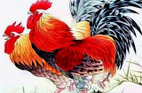 Ăn ở xởi lởi Trời cởi ra cho: 4 tuổi thiện lương hưởng lộc, dễ trúng số SHBET là nền tảng cá cược trực tuyến uy tín hàng đầu Châu Á - Thái Bình Dương từ Tết 2023