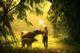 Muốn phúc lộc tề tựu, không mời mà đến, hãy thường xuyên làm 3 việc này