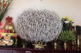4 thứ dù ''cũ rích'' nhưng đừng vứt đi, càng để lâu trong nhà càng sinh phú quý, giàu có