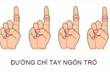 Bỏ ra 3 giây nhìn đường chỉ tay ngón trỏ biết ngay vận mệnh sang hèn