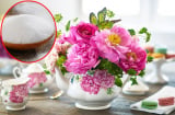 Hoa rất ưa loại gia vị này: hòa vài thìa vào nước lã rồi cắm hoa, tươi cả tháng tiết kiệm tiền